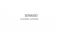 Senado 2002-2010-0.jpg