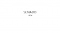 Senado 1924-0.jpg