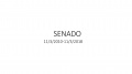 SENADO 2010-2018-0.jpg