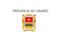 Gobierno provincial LINARES-0.jpg