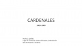 CARDENALES 1900-2000 A-0.jpg